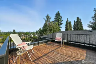 Roof deck looking SE