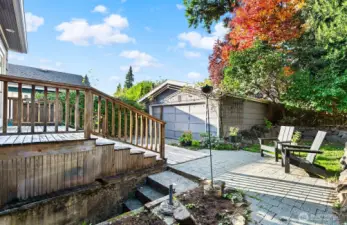 Back yard