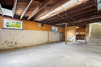 Basement