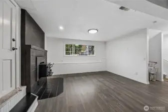 lower level family room