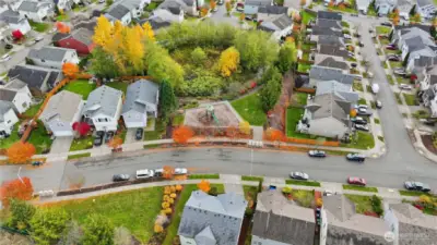 View of the Neighborhood