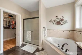 Soaking tub and walk in shower