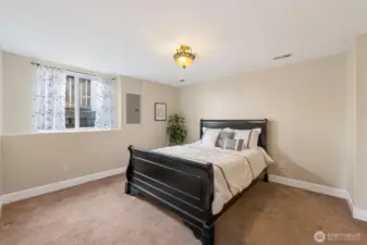 downstairs bedroom with window well