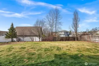 mature landscaping with curbing