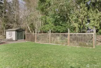 Shed and garden area.