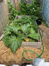 Your vegetable garden to-be!