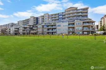 Professionally Manicured Grounds