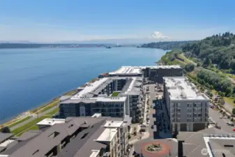 View Mt Rainier from Waterfront (2022)