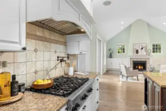 Gourmet kitchen!