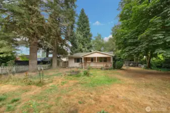Front Yard