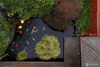 Drone shot of the entry Koi Pond.