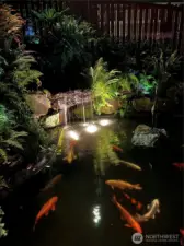 Japanese Koi Pond lit up at night. Pond has a water pump system that brings in water from the lake which then flows along the side of the home back into the lake.