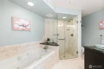 Primary bedroom spa bath