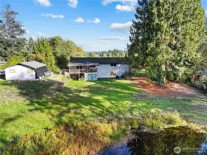 Large and lush backyard