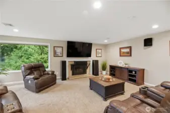 Gas insert fireplace