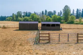 Front pasture with loafing sheds. This is a great field for your livestock.