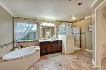 Master bathroom