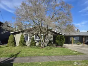 2nd duplex on the same lot.
