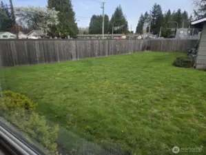 View of side yard from dining room window of unit 1211