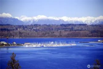 Overlooking Drayton Harbor