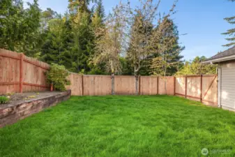 Beautiful backyard