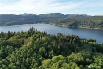 Home is nestled between Riffe Lake and Swofford Pond