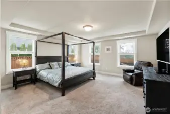 Primary Bedroom w/tray ceiling and lovely views.