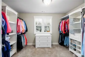 Huge closet with built-ins