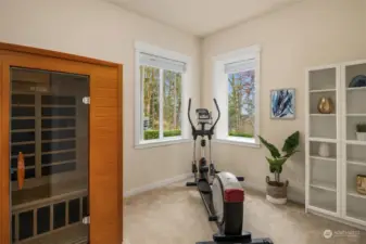 basement bedroom set up as Gym. Sauna and fitness equipment stay with house!