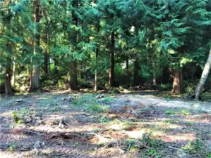Large Flat Property in Popular Area
