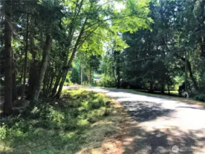 Secluded Lake Side Road