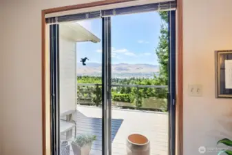 slider in primary bedroom- to wrap around deck-