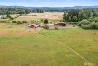 The property includes 4 apple trees, 3 pear trees, and 6 mature blueberry bushes - all well-established and producing high yields each year.