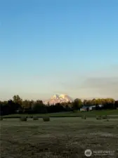 The pasture offers stunning views of Mount Rainier! Truly a sight to behold.