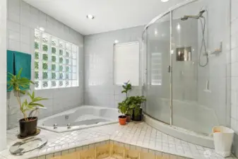 Primary bath with shower and soaking tub