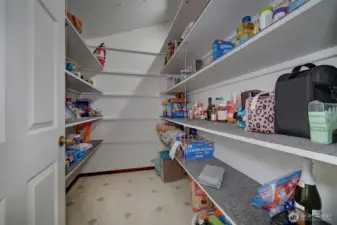 Huge walk-in pantry.