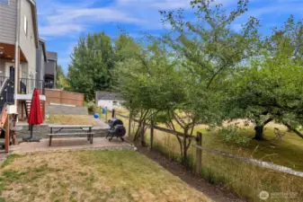 Backyard space