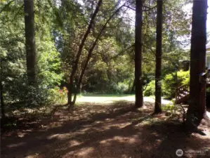 birds, squirrels, deer all love to come visit!