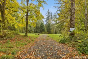Access toad to well and additional pasture.
