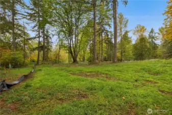 Rear yard area backing to greenbelt