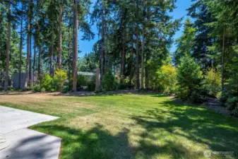 Sunny spacious backyard! The property extends past the kids jungle gym all the way to the neighbors driveway.