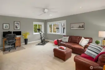 Large 4th bedroom/bonus room/media room.