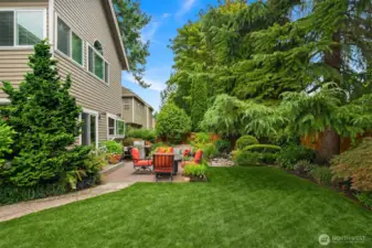 Beautifully landscaped backyard with spacious grass area.