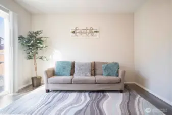 Lower Lever Bonus Room