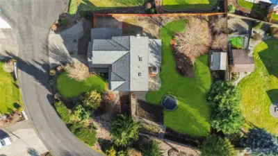 What an amazing corner lot