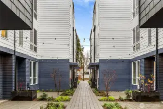 This charming courtyard connects the homes, offering a peaceful, landscaped walkway illuminated by overhead string lights—a welcoming touch to this vibrant community.