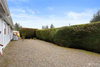 Here you see the heat pump which provides efficient heat as well as air conditioning. The private yard is roomy and low maintenance, with well-manicured shrubbery.