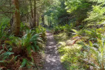 Hiking trail to the Park & Cornet Bay