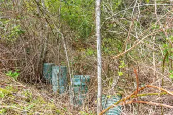 Partial septic installation