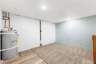 Bonus room downstairs
